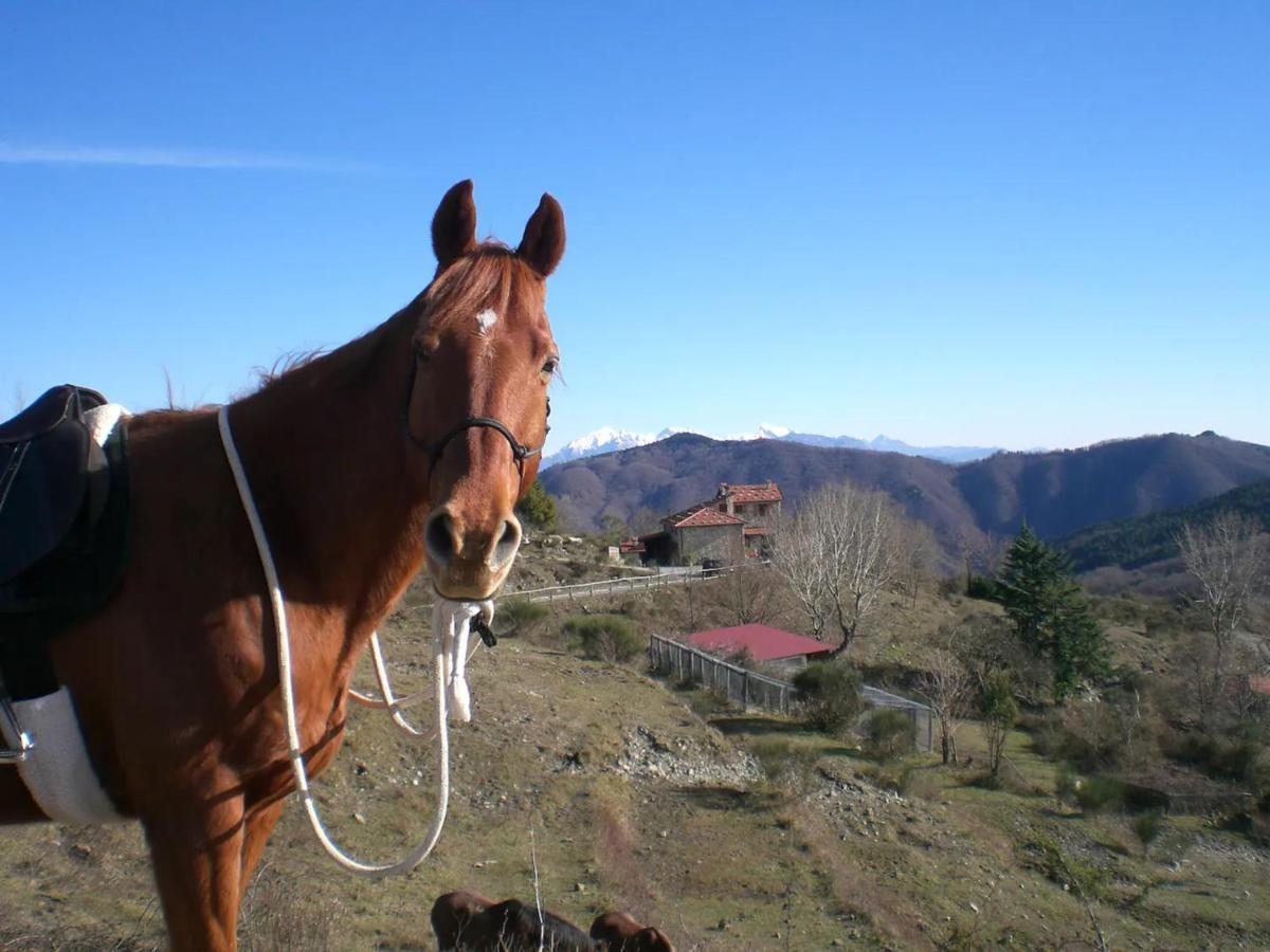 Casa Della Barcareccia Βίλα Calice al Cornoviglio Εξωτερικό φωτογραφία