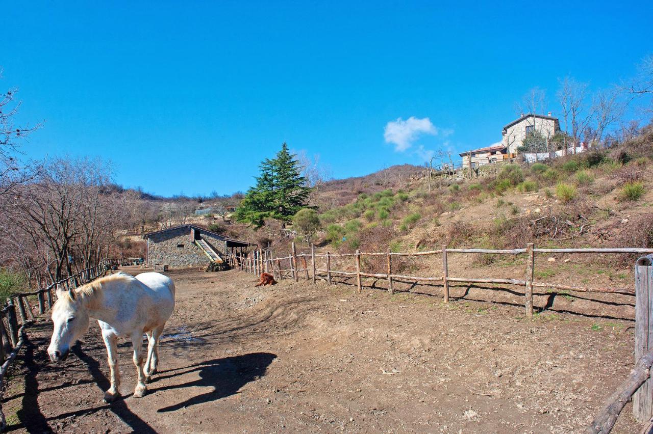 Casa Della Barcareccia Βίλα Calice al Cornoviglio Εξωτερικό φωτογραφία